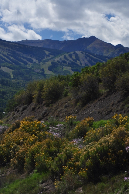 the view from the Brush Creek Trail